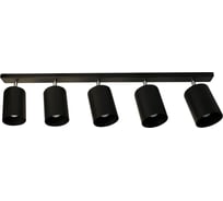 Светильник ЭЛЕТЕХ Спот НПБ 01-5x60-513 черный матовый/черный ИУ 1005404522