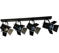 Светильник ЭЛЕТЕХ Кино НПБ 01-4x60-515 черный матовый/черный ИУ 1005404541