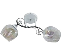 Потолочный светильник ЭЛЕТЕХ 11306-7/2 белый хром (Плафон 8310) НПБ 01-2x60-136 Е27 ИУ 1005404890