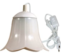 Переносной светильник ЭЛЕТЕХ "Фито" ННБ 63-60-017 Е27 провод-выключатель-вилка 2 м ГИ 1005404618