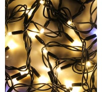 Электрическая гирлянда Сноубум вьюн уличная, 10м, 100LED, шампань, мерцание, ПВХ, черный, коннектор, 220В 351-530