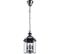 Подвесной светильник ARTE LAMP A6505SP-3CC