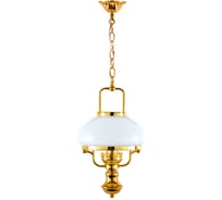Подвесной светильник ARTE LAMP A3560SP-1GO