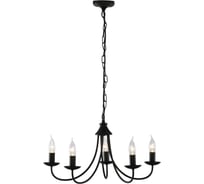 Потолочный светильник ARTE LAMP A6310LM-5BK