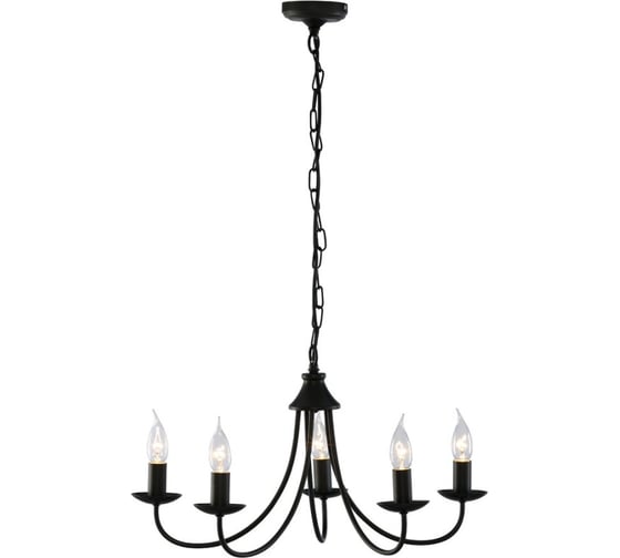 Потолочный светильник ARTE LAMP A6310LM-5BK