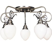 Потолочный светильник ARTE LAMP A3853PL-5AB