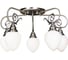 Потолочный светильник ARTE LAMP A3853PL-5AB 1