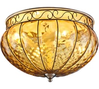 Потолочный светильник ARTE LAMP A2101PL-4AB