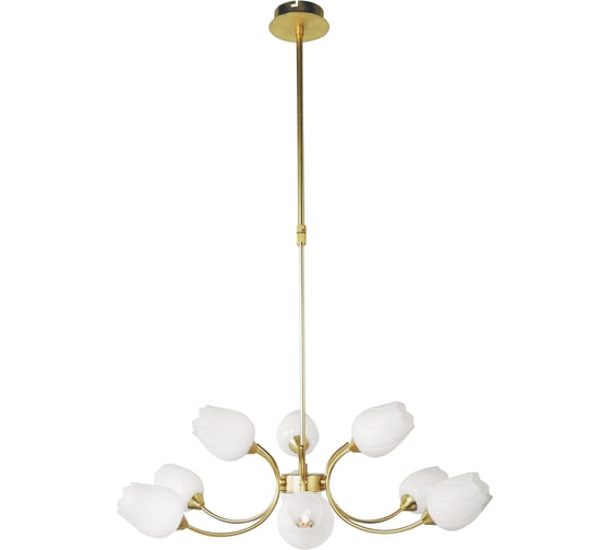 Люстра ARTE LAMP A8290LM-9PB 1