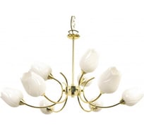 Люстра ARTE LAMP A8292LM-9PB