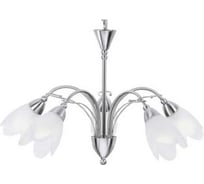 Подвесной светильник ARTE LAMP A4905LM-5SS