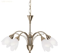 Подвесной светильник ARTE LAMP A4905LM-5AB