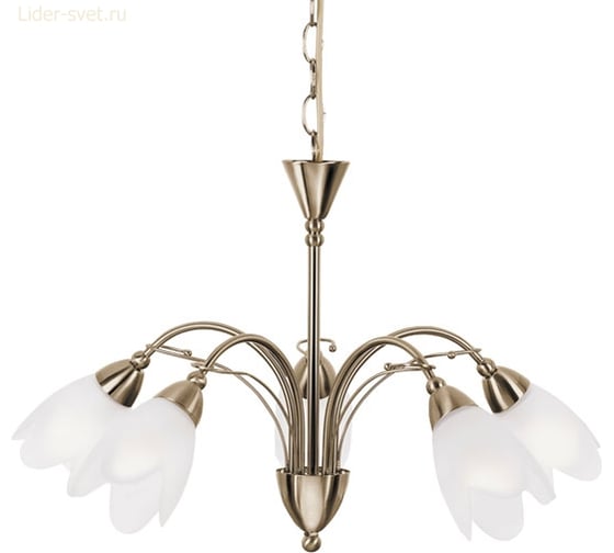 Подвесной светильник ARTE LAMP A4905LM-5AB