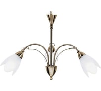 Подвесной светильник ARTE LAMP A4905LM-3AB