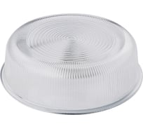 Рассеиватель для светильника TDM ELECTRIC НПП 03-100-005 SQ0321-0405