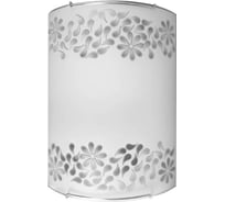 Светильник ЭЛЕТЕХ Серто 150x220 НББ 21-60 М21 матовый белый /крепеж хром ИУ MAXEL 1005205558