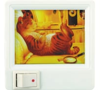 Ночник с картинкой Camelion XYD-403 (р006),7048