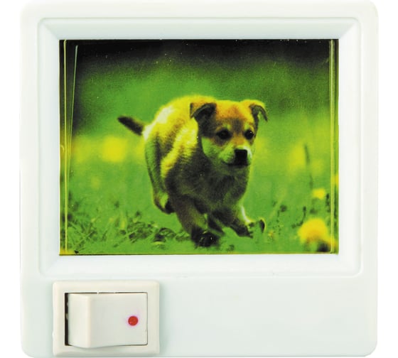 Ночник с картинкой Camelion XYD-403 (р007), 7049 1