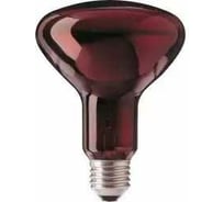 Лампа ИКЗК TDM ELECTRIC 220 В 250 Вт R127 E27 (инд.гофр.упак) SQ0343-0038