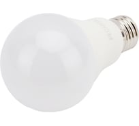 Светодиодная лампа Ресанта LL-R-A65-15W-230-6K-E27 груша, 15Вт, холодный, Е27 76/1/75