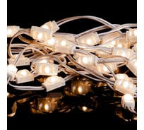 Светодиодный модуль MAKSILED 0.24Вт, 12В, IP67, SMD2835 1LED, 33лм, теплый белый, 50 шт./упаковка ML-M1SNE-OL-2835-WW-LP