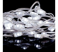 Светодиодный модуль MAKSILED 0.24Вт, 12В, IP67, SMD2835 1LED, 33лм, холодный белый, 50 шт./упаковка ML-M1SNE-OL-2835-CW-LP