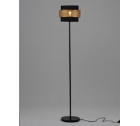 Торшер Moderli Gela V10494-1F