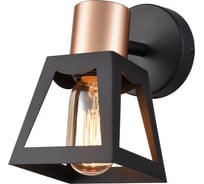 Спот Vele Luce Carisma 1xE27 60W VL6462W01