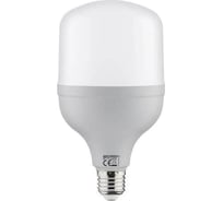 Светодиодная лампа HOROZ ELECTRIC 001-016-0030 30W, 6400K, E27, 175-250V, TORCH-30 HRZ00000005