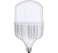 Светодиодная лампа HOROZ ELECTRIC 001-016-0080 80W 6400K E27 175-250V TORCH-80 HRZ33000005