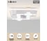 Светодиодный потолочный светильник Moderli Brass V1053-CL 2