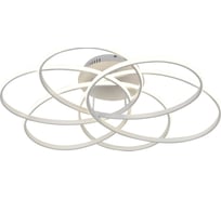 Потолочная люстра Moderli Adam V2751-CL