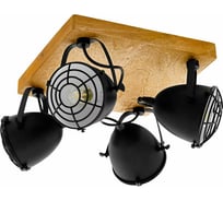 Спот EGLO Gatebeck 49079