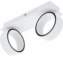 Спот EGLO Albariza 39585