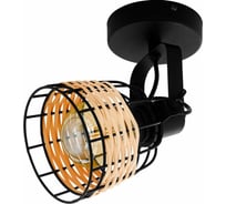 Спот EGLO ПРОМО Anwick 43324