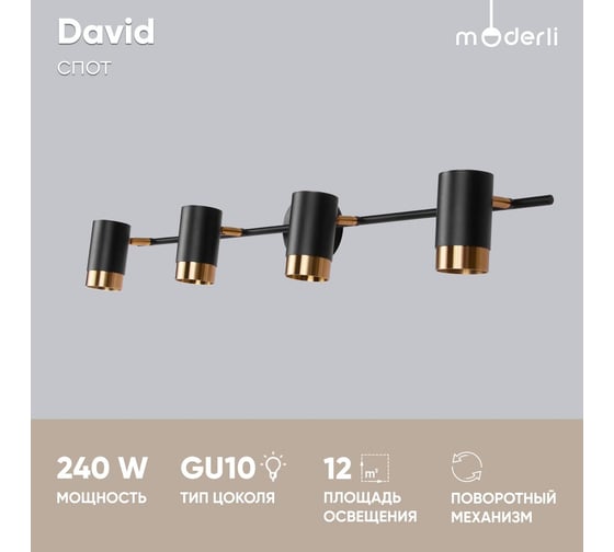 Спот Moderli David V5030-4C