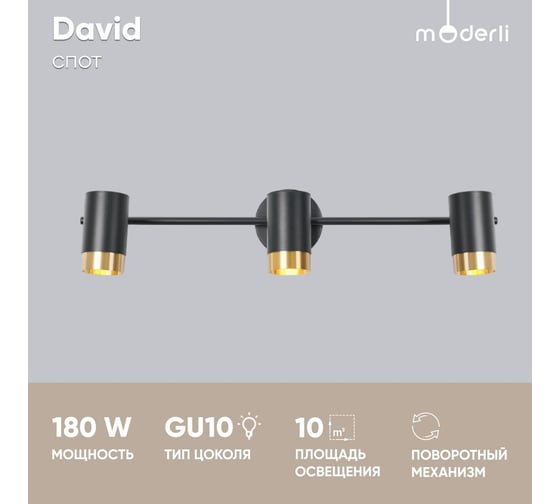 Спот Moderli David V5031-3C