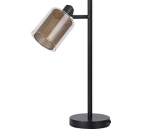 Декоративная настольная лампа Moderli Suspent V3060-1T