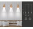 Подвесной светильник Ambrella Light Traditional TR3669 2