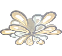 Светодиодная потолочная люстра Moderli Bience V10182-CL