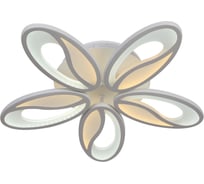 Светодиодная потолочная люстра Moderli Biolo V10081-CL