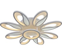 Светодиодная потолочная люстра Moderli Biolo V10083-CL