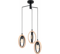 Подвесной светильник EGLO ПРОМО Basildon 43463