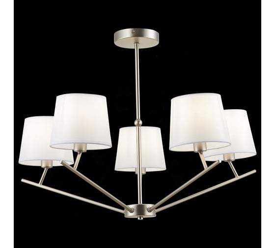 Люстра на штанге Evoluce Denice SLE300102-05