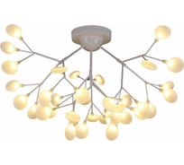 Потолочная люстра Evoluce Avola SLE250102-36