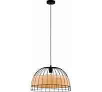 Подвесной светильник EGLO Anwick 43312