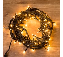 Гирлянда-нить Neon-Night 20м, черный пвх, 200 диодов, цвет теплый белый 303-146