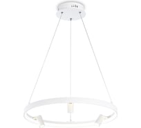 Подвесная люстра Ambrella Light LineTech FL5281