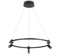 Подвесная люстра Ambrella Light LineTech FL5293