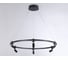 Подвесная люстра Ambrella Light LineTech FL5299 6